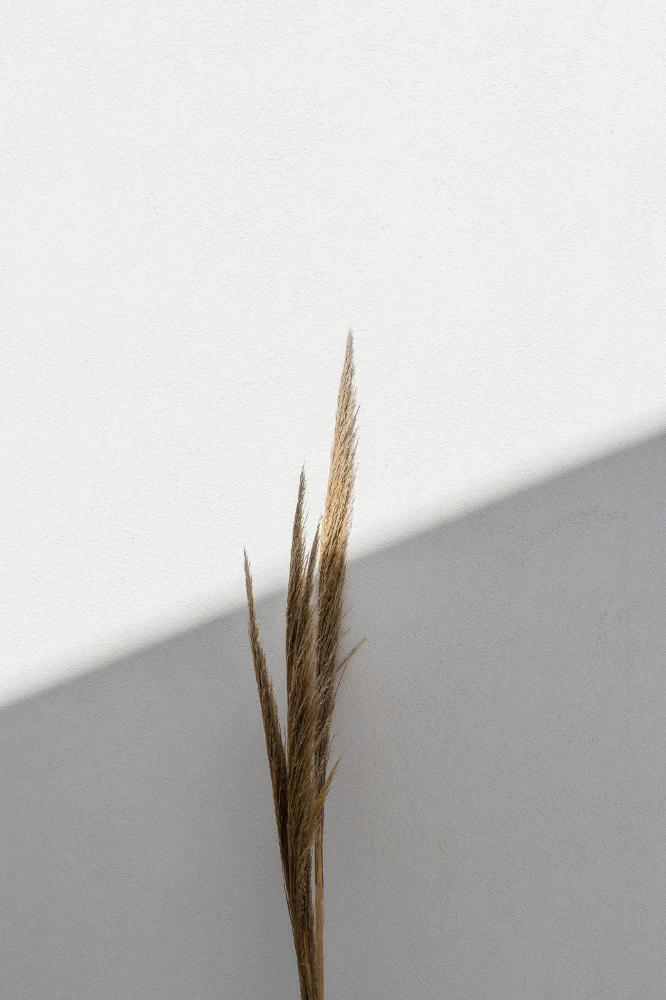 Poema Antiparos Aparthotel Buitenkant foto